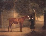 John Ferneley Mr Wombell's Hunter with a Groom in a Courtyard Spain oil painting artist